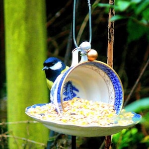 May include: A blue and white teacup hanging from a string with a gold bead. The teacup is filled with birdseed and a small blue and yellow bird is perched on the edge.