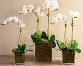 Classic Orchid Succulent Arrangement Artificial Flowers Silk Flower Arrangement Artificial Succulents Faux Flowers for Decoration