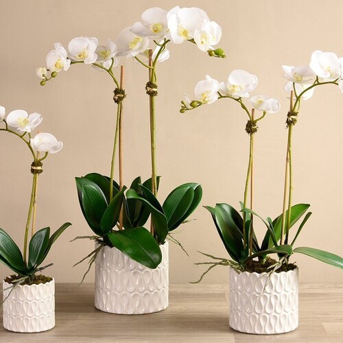 FAUX Phalaenopsis White Orchid Flowers in Pot Lifelike SILK | Etsy
