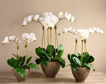 Parisian SILK Artificial White Orchid Flower Arrangement With | Etsy