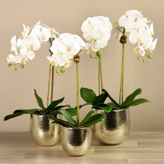 FAUX Phalaenopsis White Orchid Flowers in Pot Lifelike SILK | Etsy
