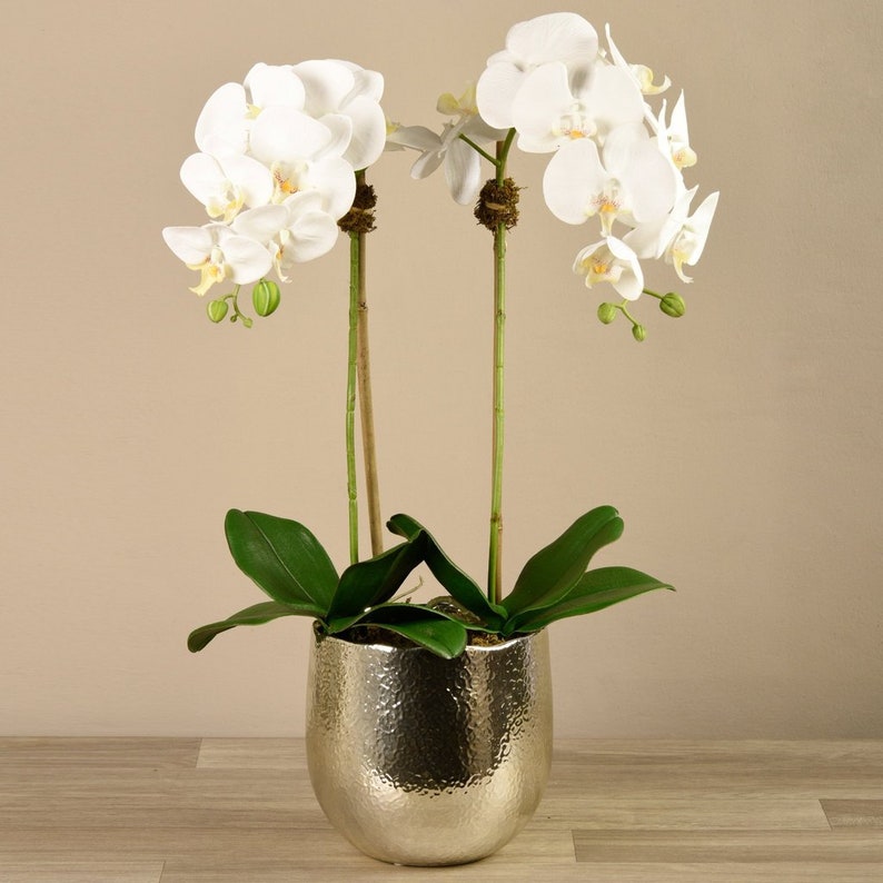 FAUX Phalaenopsis White Orchid Flowers in Pot Lifelike SILK Etsy
