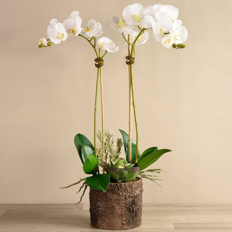 FAKE Orchid Arrangement White Faux Orchids in Pot Artificial Etsy