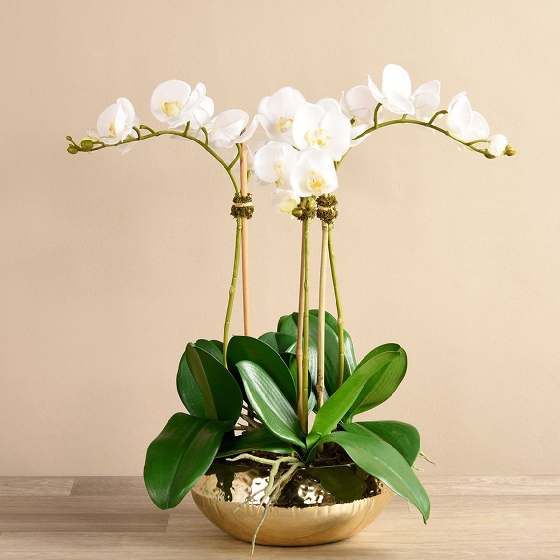 Artificial Flower Arrangement In Pot White Orchid Etsy
