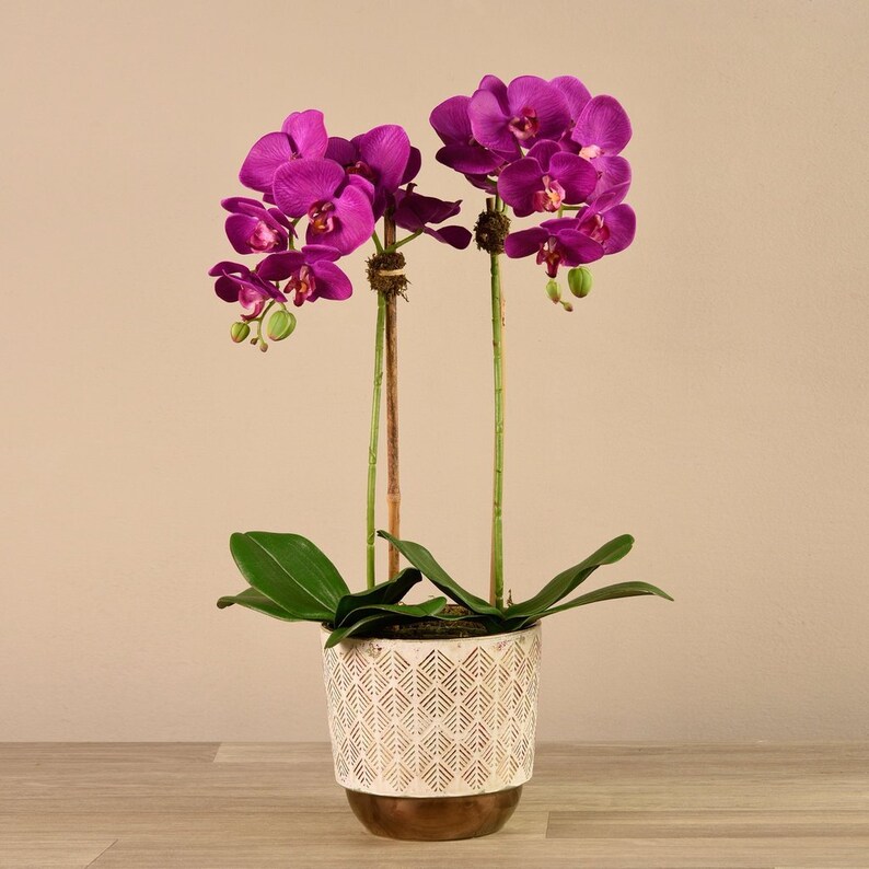 SILK Artificial Plain Fuschia Orchid Flower Arrangement In Etsy