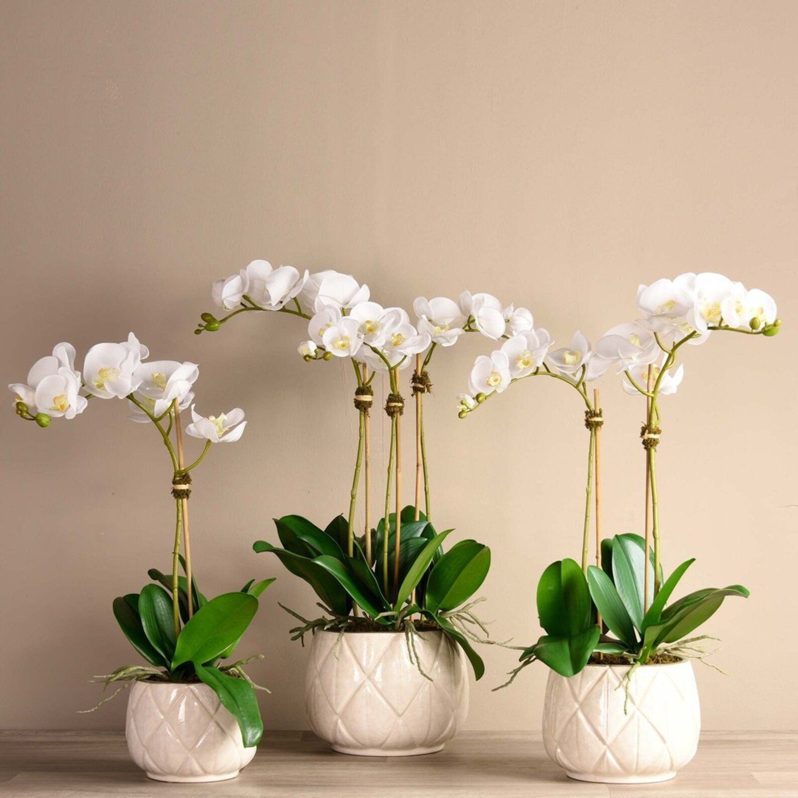 Single Artificial White Orchid Flower in Cream Vase Ultra Etsy