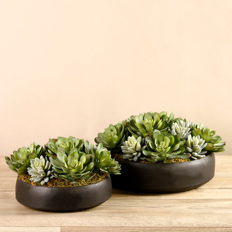 Fake Green Succulent Plant With Brown Ceramic Pot, Low Rise Arti Fake Green Succulent Plant With Brown Ceramic Pot, Low Rise Arti