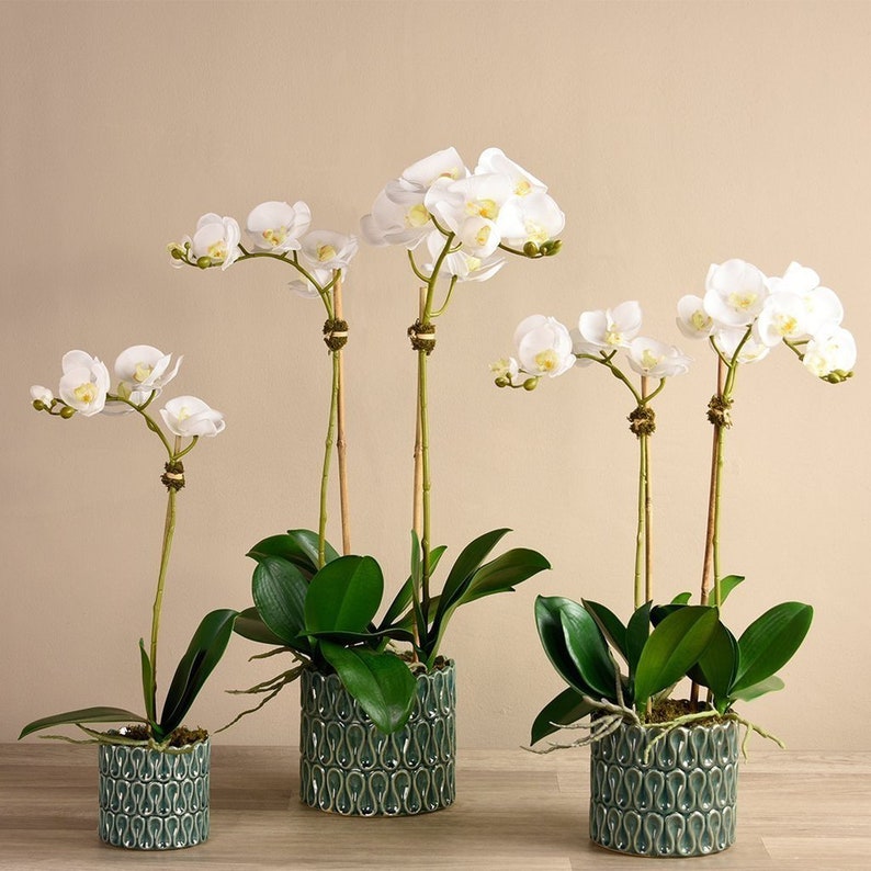 Single White Silk Orchid Flower In A Pot Realistic Artificial Etsy