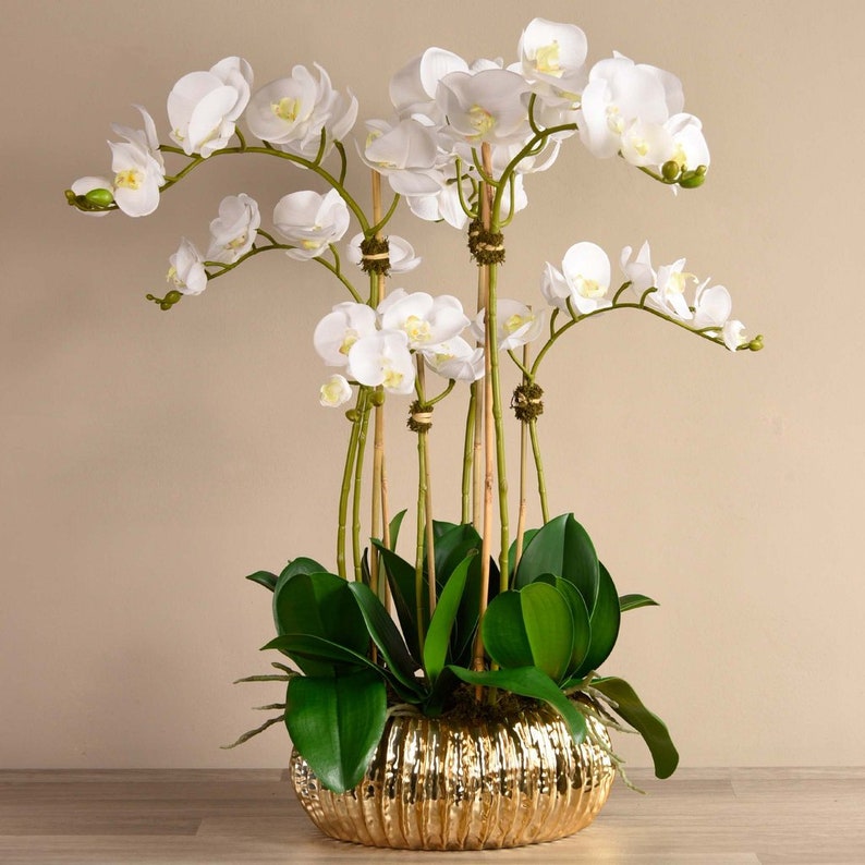 Royal SILK FAUX White Orchid Flower Arrangement With Gold - Etsy