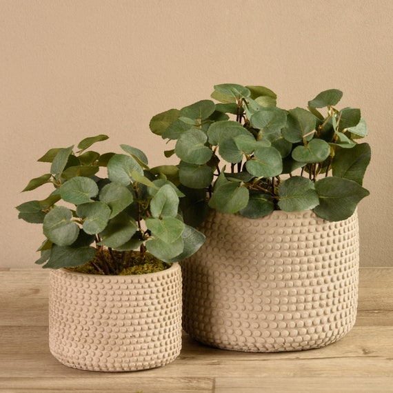 Ceramic Potted Faux Eucalyptus