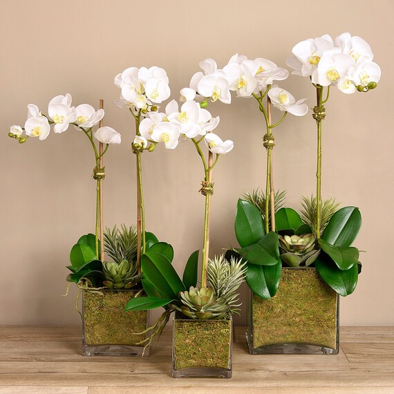 Classic SILK Artificial Orchid Flower Arrangement Lifelike | Etsy