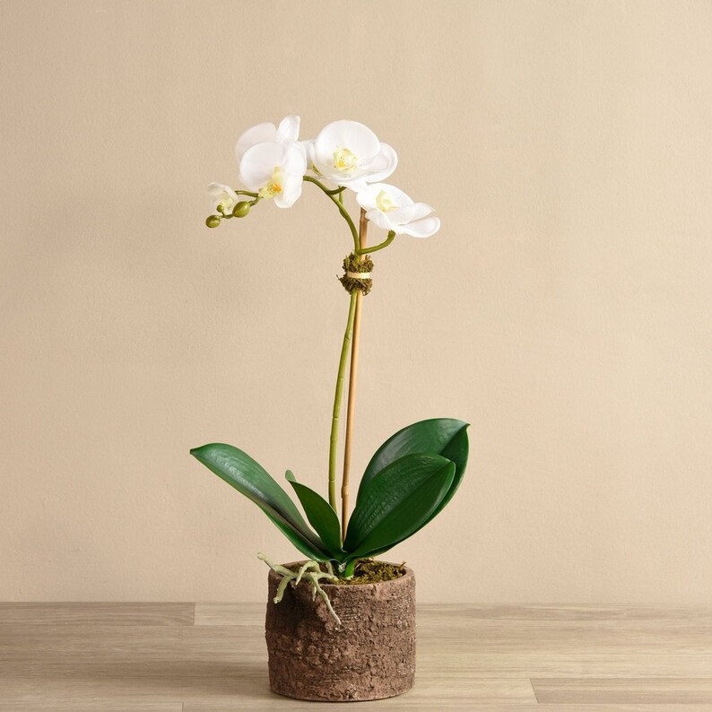 FAKE Orchid Arrangement White Faux Orchids in Pot Artificial Etsy