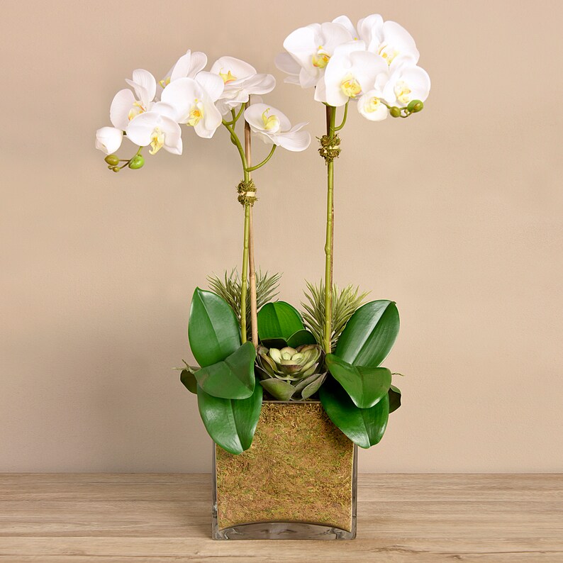 Classic SILK Artificial Orchid Flower Arrangement Lifelike Etsy