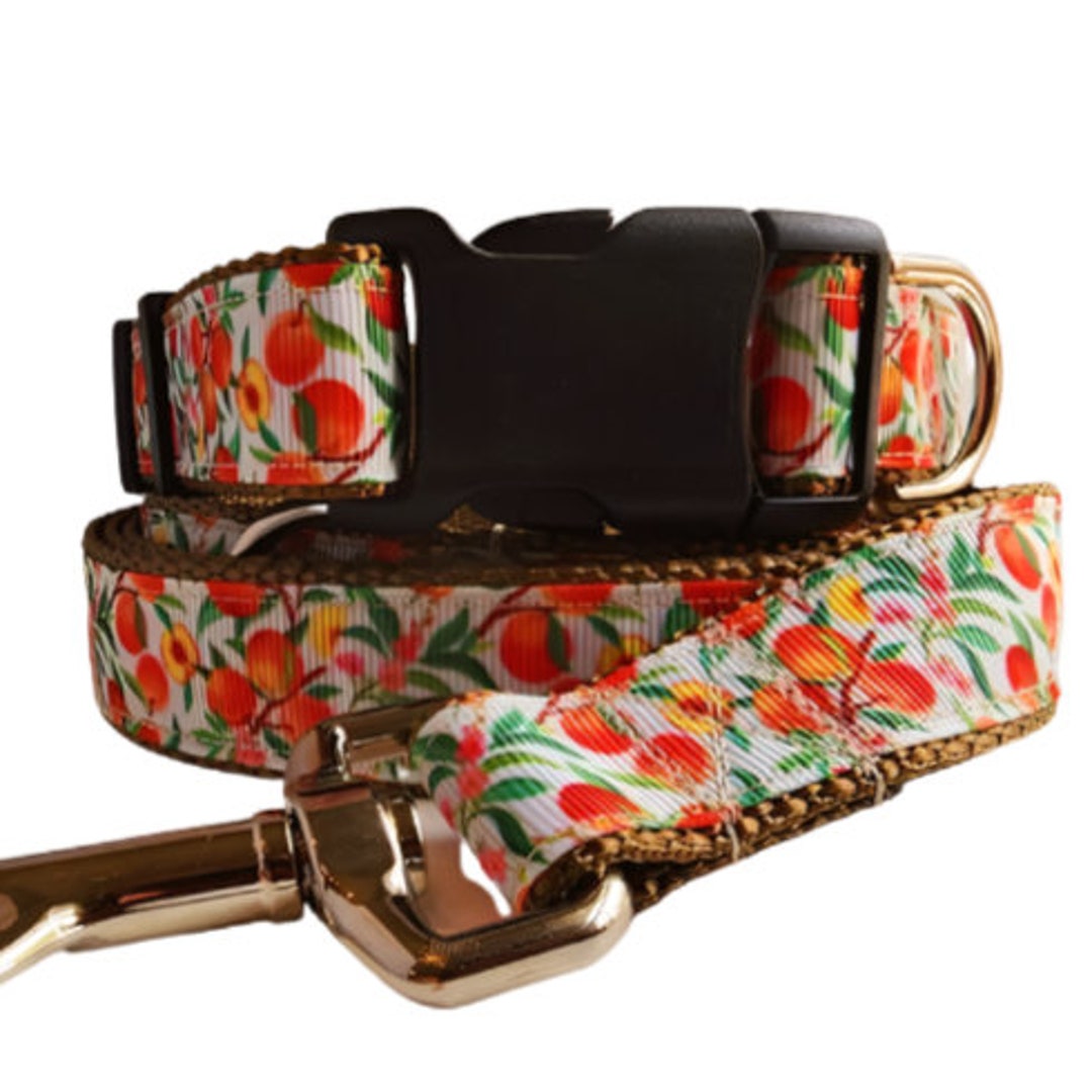 Peaches Dog Collar, Leash, Martingale, or Harness Etsy