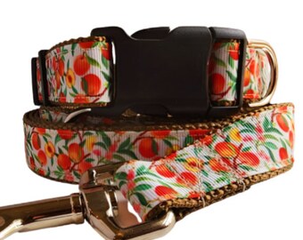 Peaches Dog Collar, Leash, Martingale, or Harness