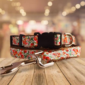 3/4&quot; Peaches Dog Collar, Leash, Martingale, or Harness