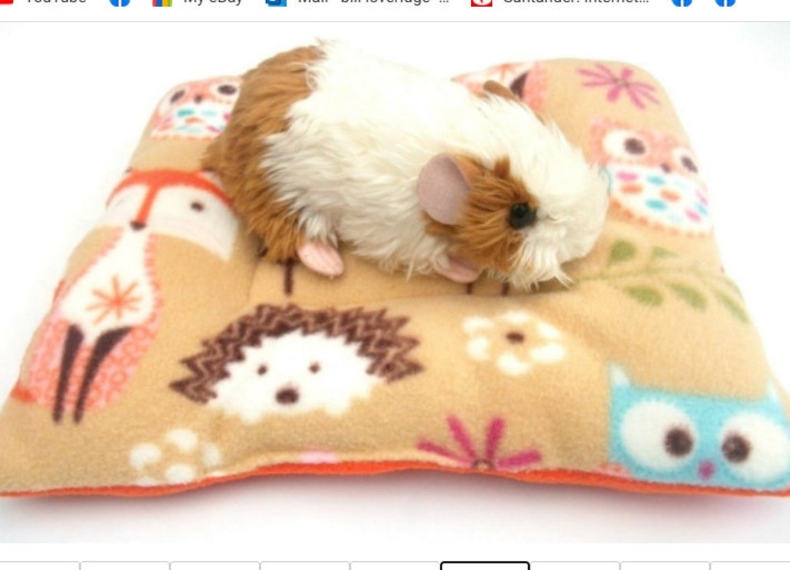 Photo inspiration: Gallery Detail: Waterproof Guinea Pig Small Animal Soft Fleece Thick Padded
