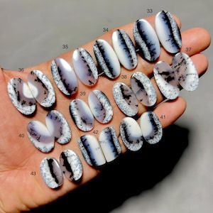 Puede incluir: Una colección de piedras preciosas de ágata dendrítica de forma ovalada. Las piedras presentan una base blanca con inclusiones dendríticas negras y grises. Cada piedra pulida tiene una superficie lisa. Las piedras están numeradas.