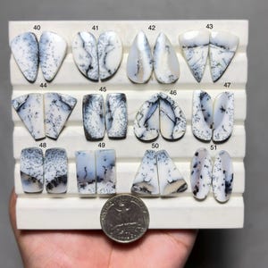 May include: A collection of dendritic opal cabochons in various shapes, including teardrop, oval, and triangular. The stones are white with black and gray dendritic inclusions. A quarter is included for size reference.
