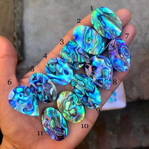 Un cabochon di conchiglia di abalone naturale di qualità unica-pietre preziose sciolte di conchiglia di abalone arcobaleno flash per la creazione di gioielli (1-52)