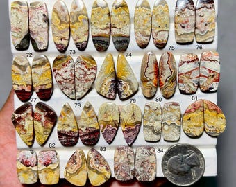 May include: A collection of polished Crazy Lace Agate gemstones in various shapes, including ovals, teardrops, and rectangles. The stones display a mix of colors, such as cream, yellow, brown, and red, with intricate patterns. A US quarter is included for size reference.