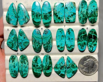 May include: Eleven pairs of polished, multi-colored turquoise and malachite cabochons in various shapes, including oval, rectangular, and triangular, arranged on a white display tray with a US quarter coin for scale.