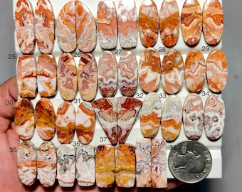 May include: A collection of polished gemstones in various shapes and sizes, featuring a mix of orange, red, and white patterns. The gemstones are displayed on a white surface, with a US quarter for size comparison. The gemstones are numbered.