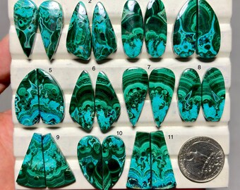 May include: Eleven pairs of polished malachite and chrysocolla cabochons with vibrant green and blue swirling patterns, arranged on a white display tray with numbered labels and a US quarter coin for scale, showcasing various teardrop and oval shapes.