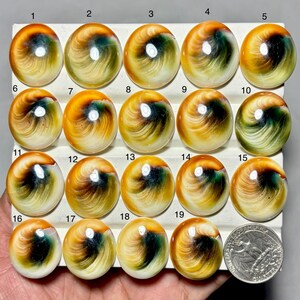 Puede incluir: Una colección de diecinueve gemas ovaladas pulidas en tonos naranja, amarillo y verde, dispuestas en una cuadrícula. Cada piedra tiene un patrón arremolinado único. Se incluye una moneda para referencia de tamaño.