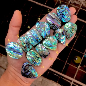 Cabochon di conchiglia di abalone naturale - Pietre preziose sciolte di conchiglia di abalone arcobaleno (1-42)