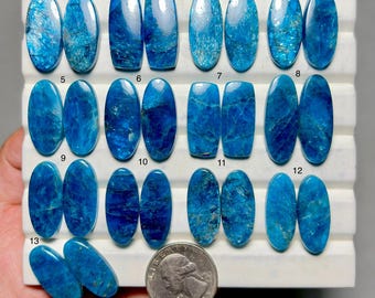 May include: A collection of thirteen blue apatite gemstones in various shapes, including oval and rectangular cuts. The gemstones are displayed on a white surface, with a US quarter for size comparison. The stones exhibit a range of blue hues and internal patterns.