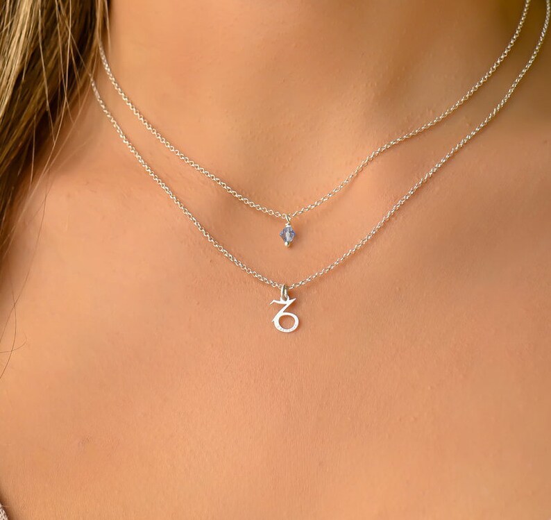 Capricorn necklace silver Clearance