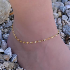 Könnte beinhalten: Zarter goldfarbener Fußkettchen mit sich wiederholendem ovalem Kettenglied-Design. Das Fußkettchen wird an einem Knöchel getragen, mit einem Hintergrund aus kleinen Steinen. Der Schmuck ist ein schlichtes, elegantes Accessoire.