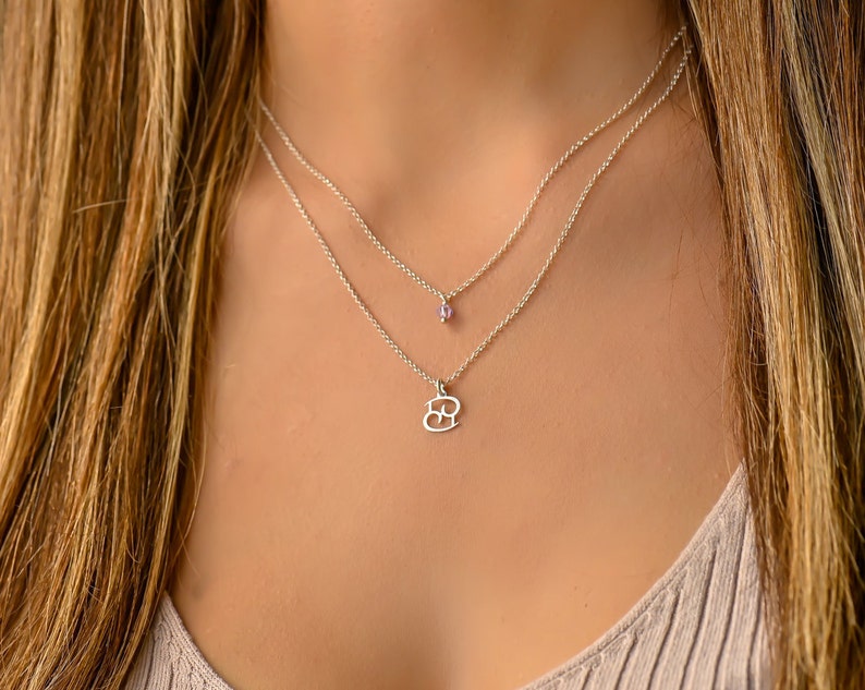 Sagittarius Zodiac Sign Necklace Dainty Layered Birthstone Silver Necklace Double Necklaces for Women Layered Necklace Set Silver