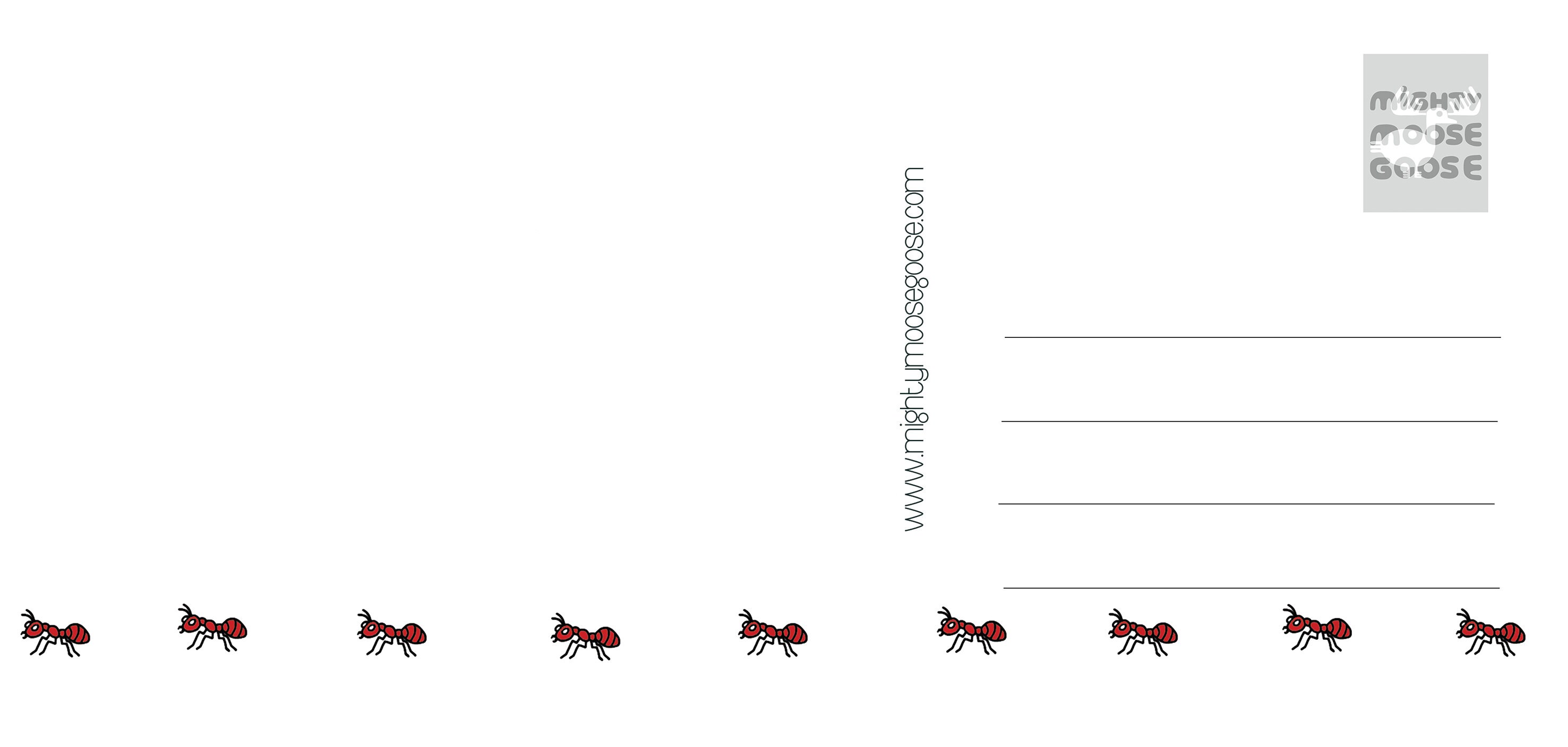 Ant Eater Postcard 5pcs | Etsy
