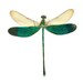 see more listings in the Andere (Insekten) section