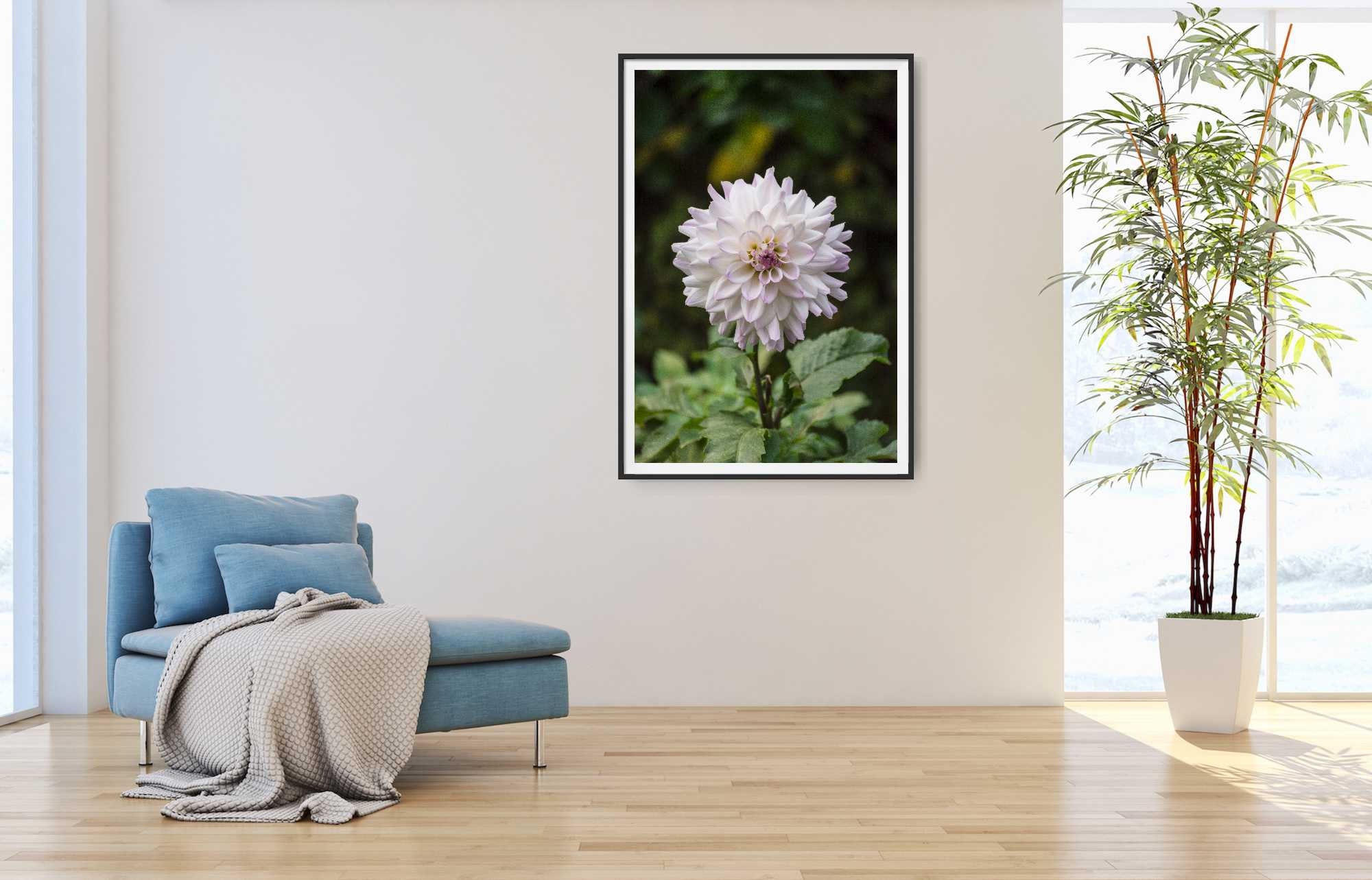 Photo Prints Landscape Wall Art Home Decor Fine Art | Etsy