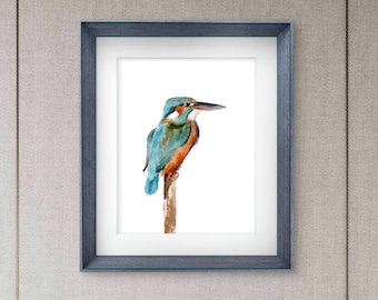 カワセミのアートプリント - 水彩画の鳥の絵 - 鳥好きへのギフト