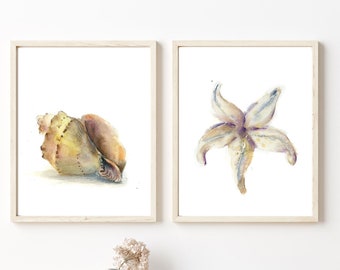 Rapan Shell and Starfish Set of 2 Fine Art Prints Tranquil Coastal Wall Art Decor