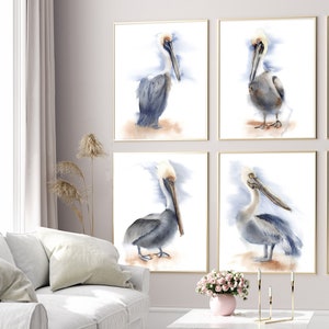 May include: Set of four watercolor paintings featuring brown pelicans in various poses. Each painting has a white background with a light blue watercolor wash.