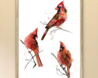 ハヤブサのアートプリント - A3、A4、A5 サイズ - ハヤブサの絵