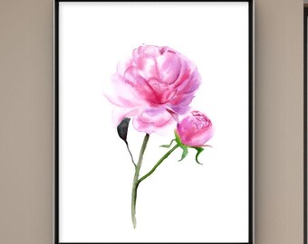 Watercolor Peony Art Print: Botanical Floral Wall Decor