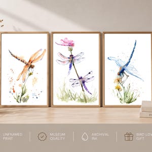 May include: A set of three vertical wall art prints featuring watercolour illustrations of dragonflies. The left print shows an orange dragonfly, the centre print displays two purple dragonflies on a stem, and the right print depicts a blue dragonfly.