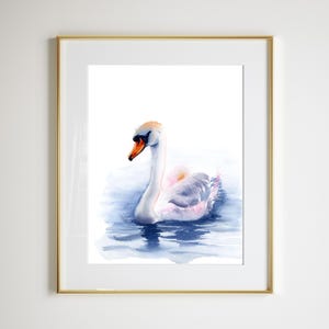 Swan Art Print, Watercolor Painting, Wading Bird Artwork  Pink and Blue Bathroom Decor, Swimming White Swan Large Wall Art, Bird Lover Gift