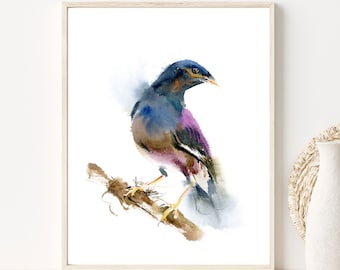 Bird Watercolor Art Print  Myna Painting Nature Ornithology Illustration Wall Decor
