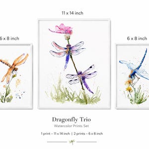 May include: A set of three watercolour dragonfly prints in white frames. One print measures 11 x 14 inches and features two dragonflies on a stem. Two prints measure 6 x 8 inches, one with an orange dragonfly and one with a blue dragonfly.