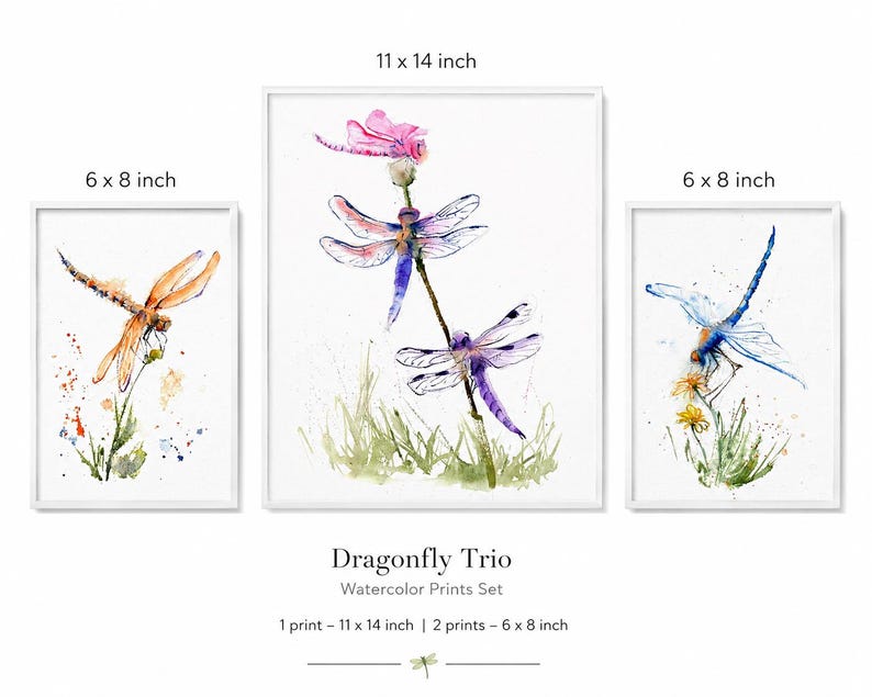 May include: A set of three watercolour dragonfly prints in white frames. One print measures 11 x 14 inches and features two dragonflies on a stem. Two prints measure 6 x 8 inches, one with an orange dragonfly and one with a blue dragonfly.