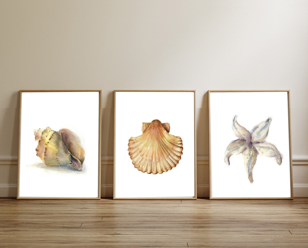 Watercolor Coastal Paintings Set of 3 for Bathroom Decor - Sea Shell ...