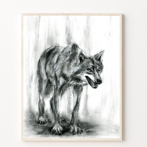 Charcoal Wolf Art Print: Black and White Woodland Drawing