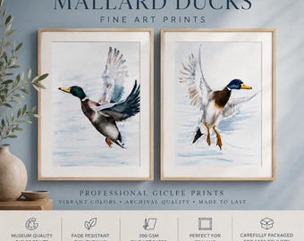 Mallard Duck Watercolor Print Set: Flying Bird Diptych Wall Art